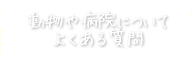 動物や病院についてよくある質問